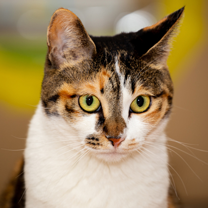 고양문학누리 작가님 사진