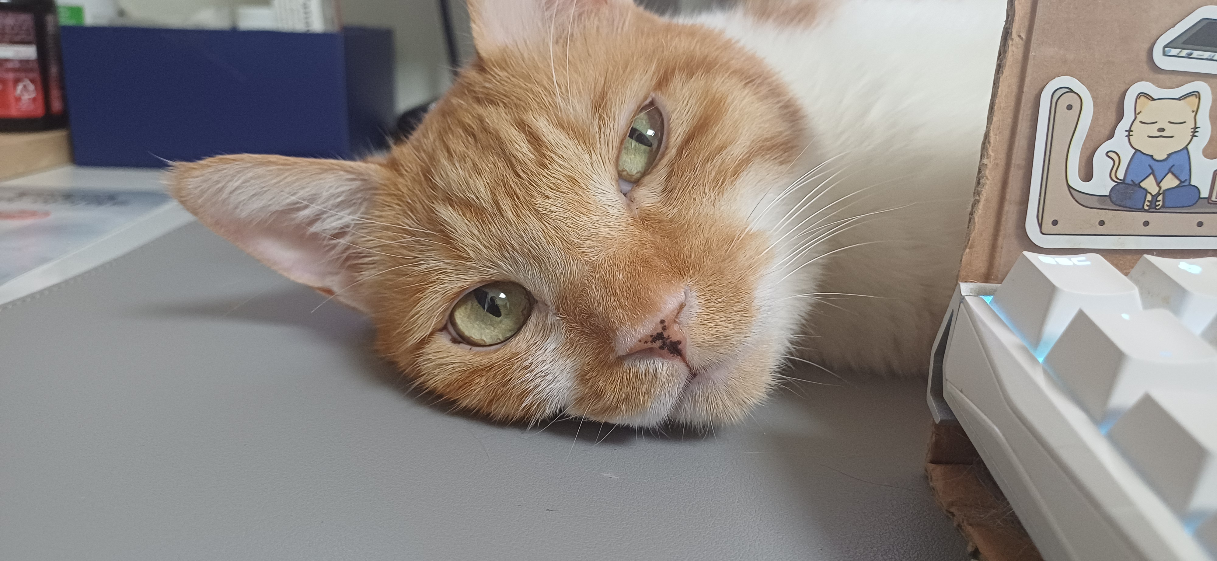 문학누리 작가님 사진